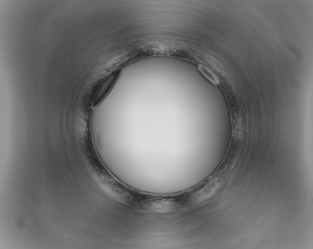 X0000111190456200907011012