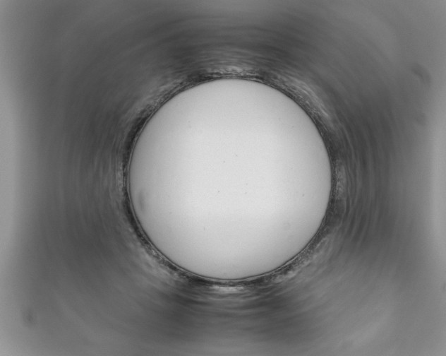 X0000111190457200907011012