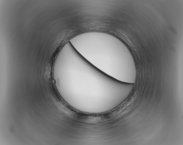 X0000111190458200907011012