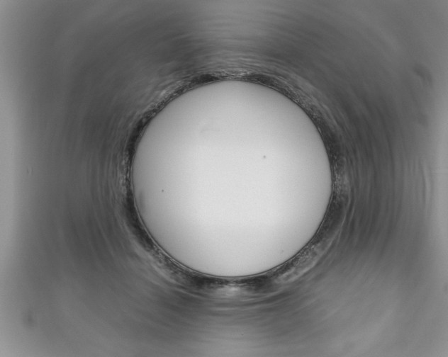 X0000111190460200907011012