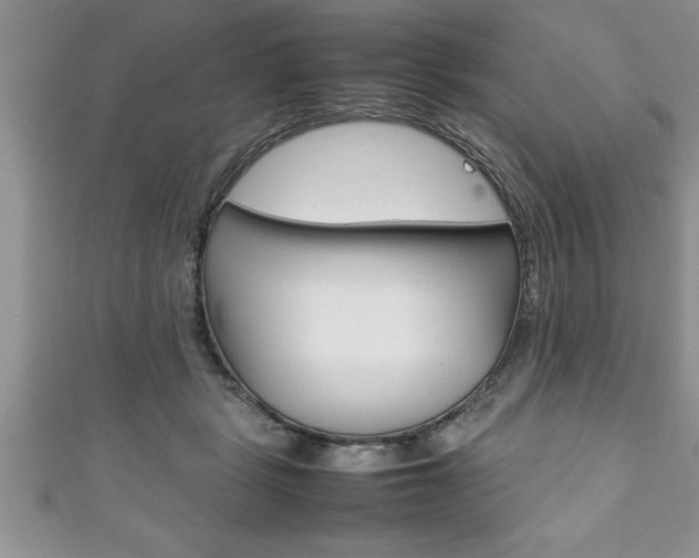 X0000111190461200907011012