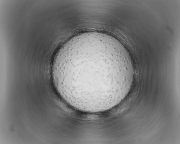 X0000111190462200907011012