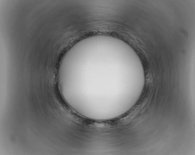 X0000111190464200907011012