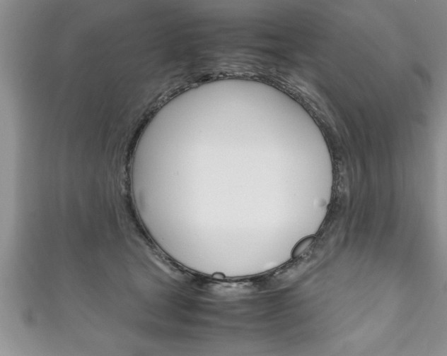 X0000111190465200907011012