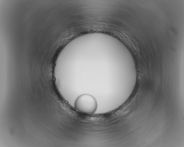 X0000111190466200907011012