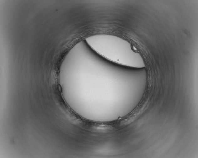 X0000111190467200907011012