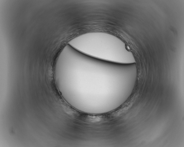 X0000111190469200907011012