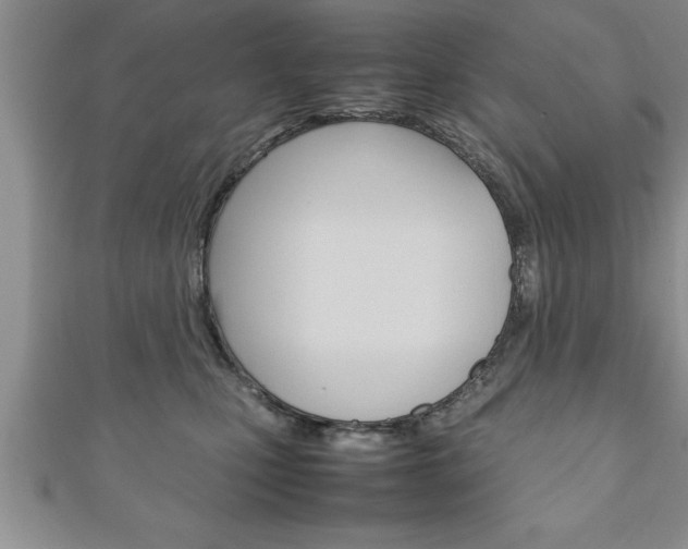 X0000111190471200907011012