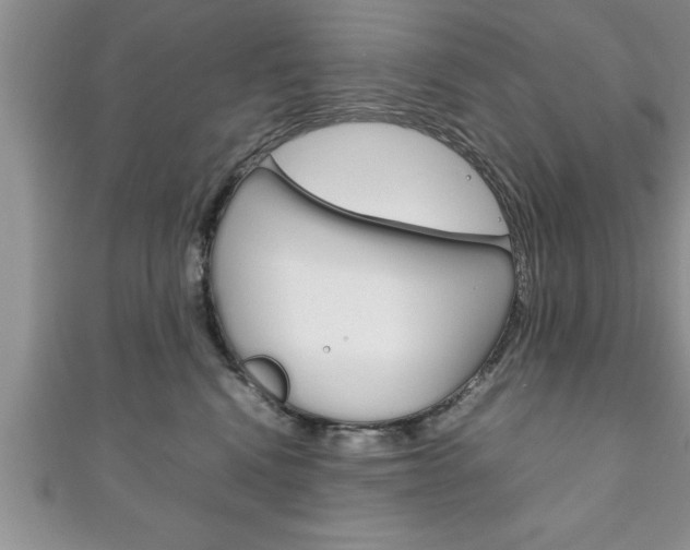 X0000111190472200907011012