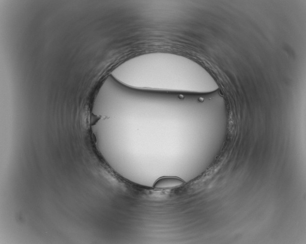 X0000111190474200907011012