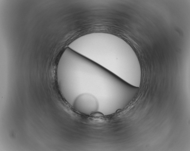 X0000111190475200907011012