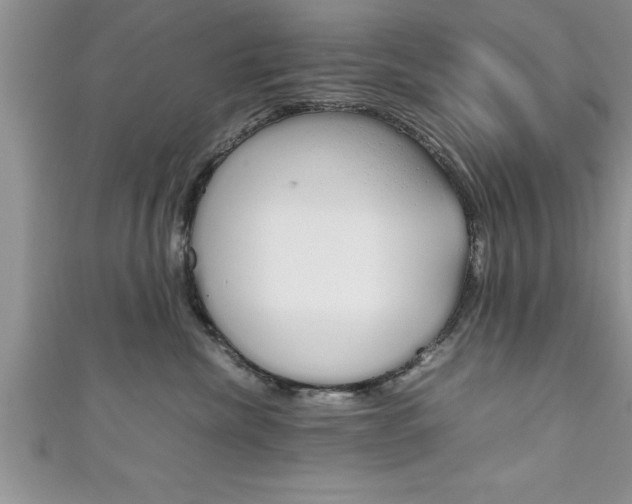 X0000111190476200907011012
