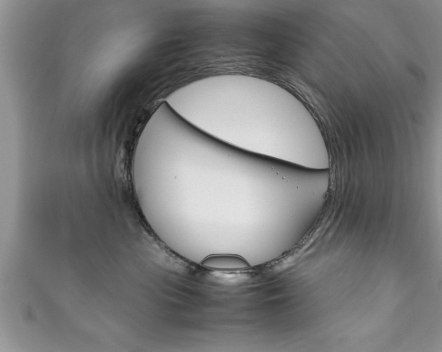 X0000111190477200907011012