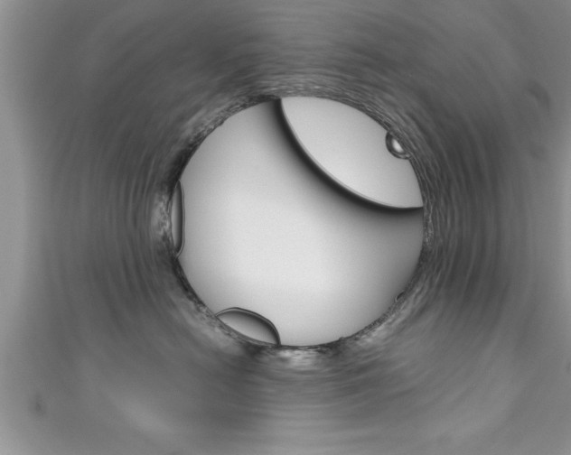 X0000111190478200907011012