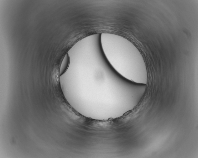 X0000111190479200907011012