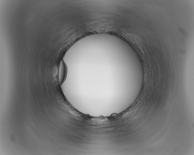 X0000111190480200907011012
