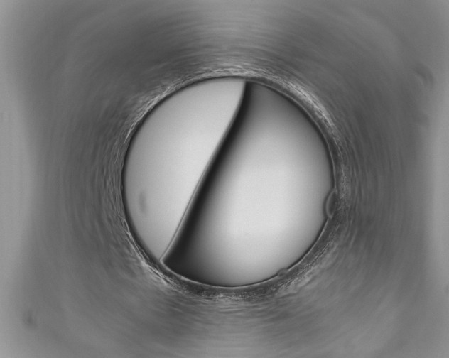 X0000111190481200907011012