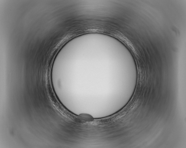 X0000111190482200907011012