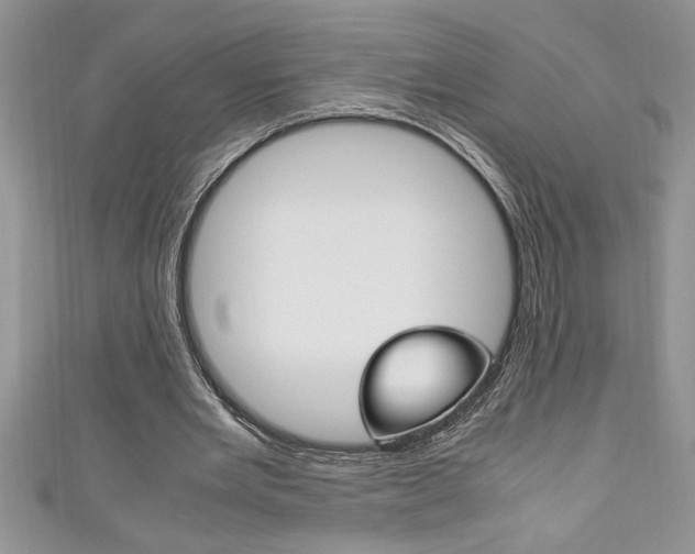 X0000111190485200907011012