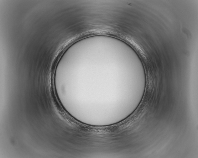 X0000111190486200907011012