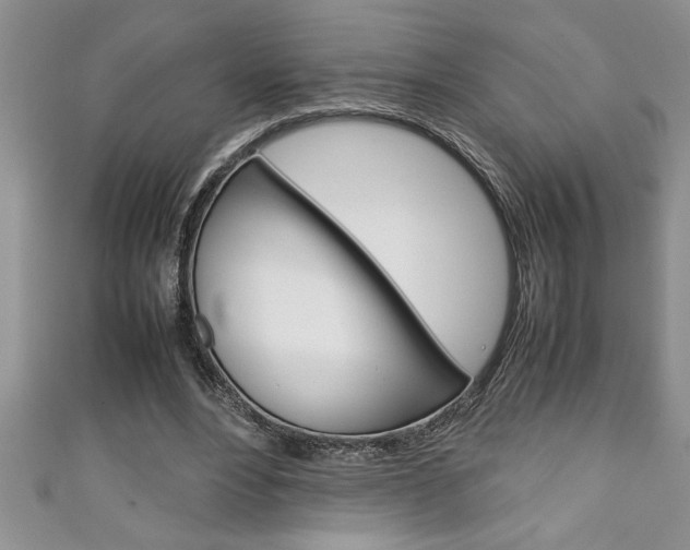 X0000111190488200907011012