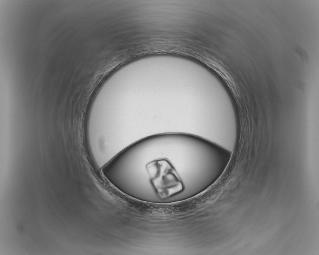 X0000111190489200907011012