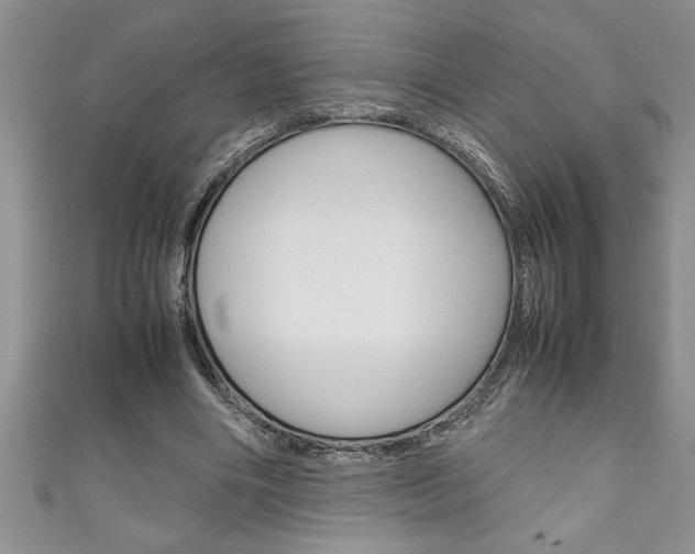 X0000111190490200907011012