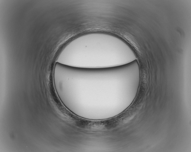 X0000111190491200907011012