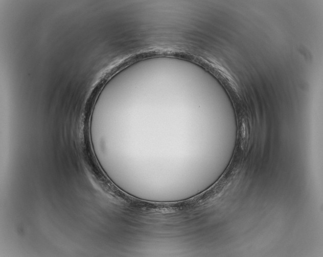 X0000111190492200907011012