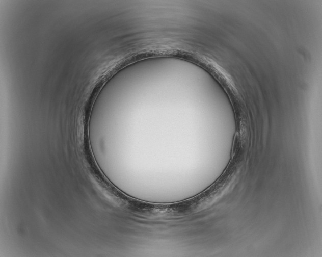 X0000111190493200907011012