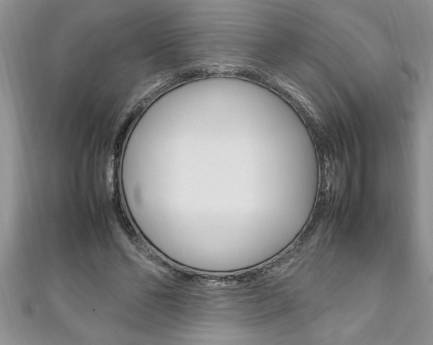 X0000111190494200907011012