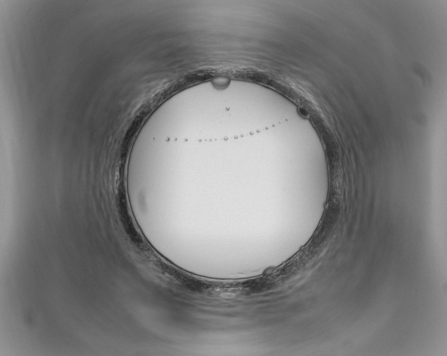 X0000111190495200907011012