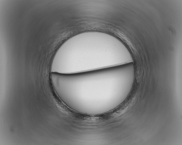X0000111190497200907011012
