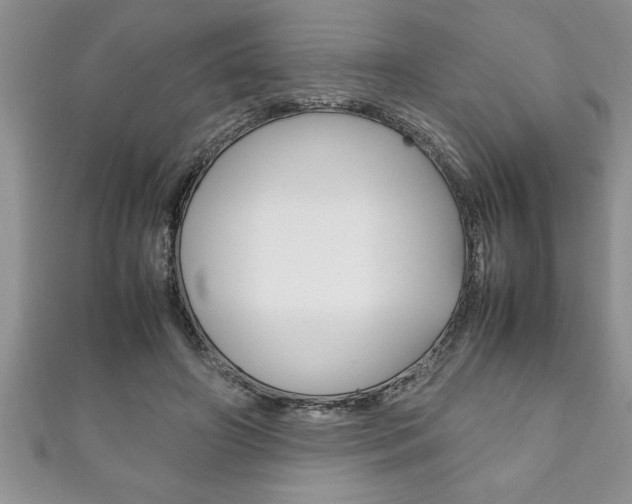 X0000111190498200907011012
