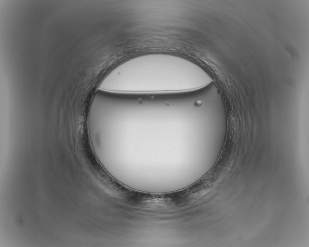 X0000111190499200907011012