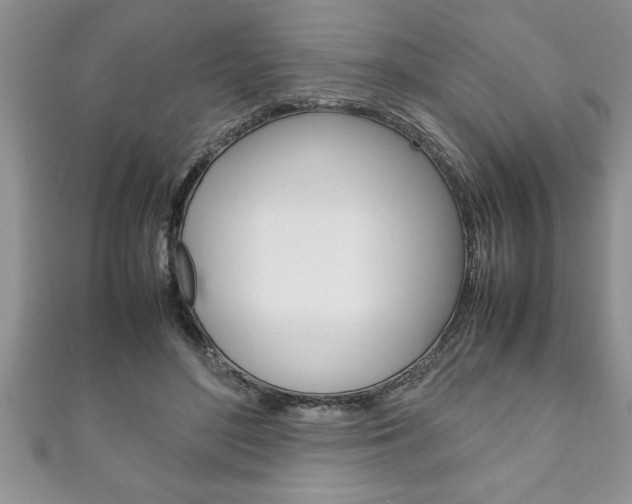 X0000111190500200907011012