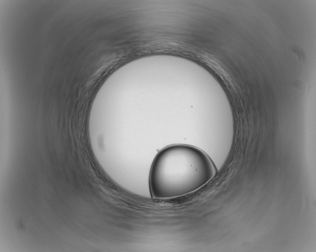X0000111190501200907011012