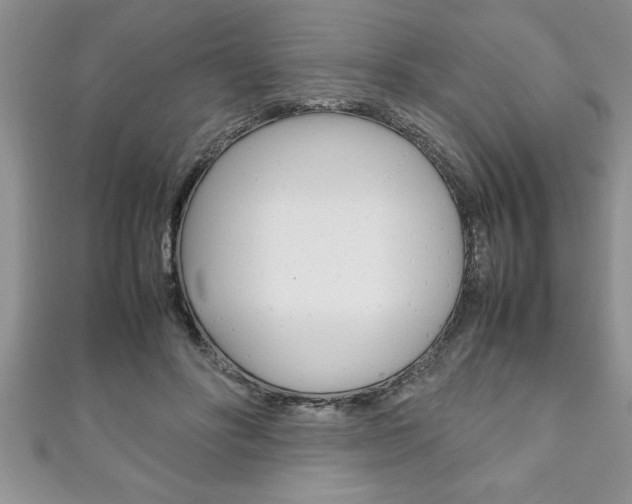 X0000111190502200907011012