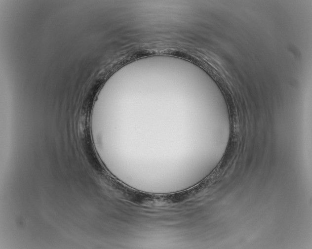 X0000111190503200907011012