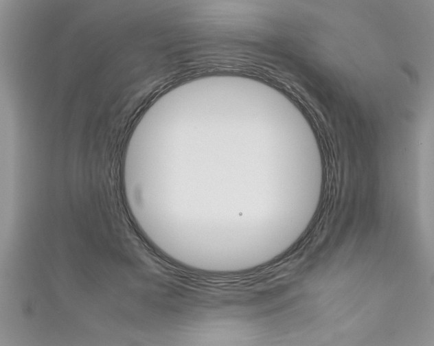 X0000111190505200907011012