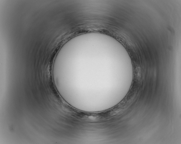 X0000111190506200907011012