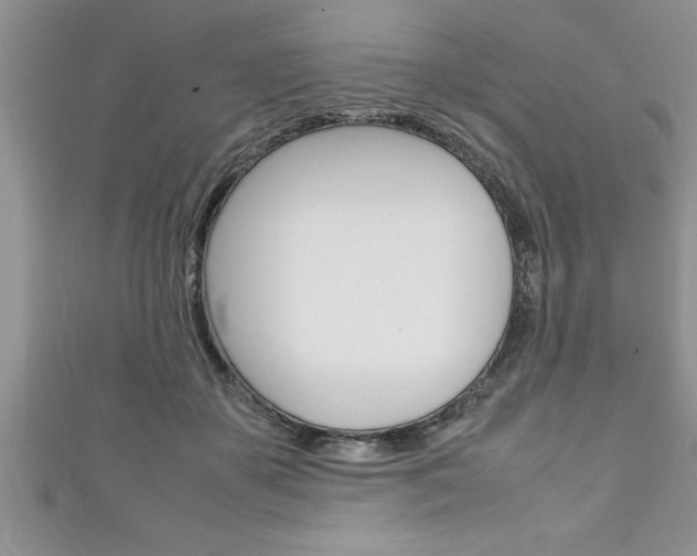 X0000111190507200907011012
