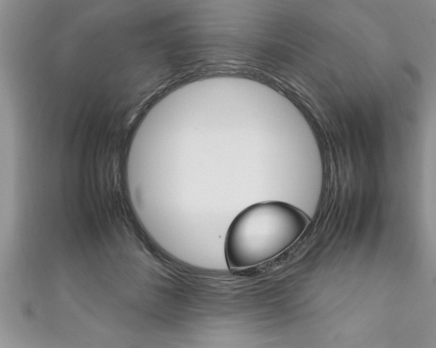 X0000111190508200907011012