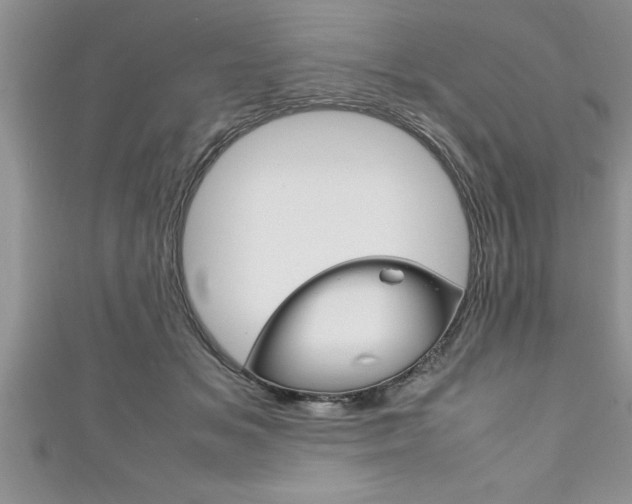 X0000111190509200907011012
