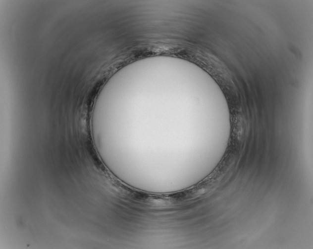 X0000111190510200907011012