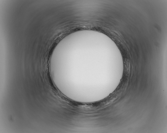 X0000111190511200907011011