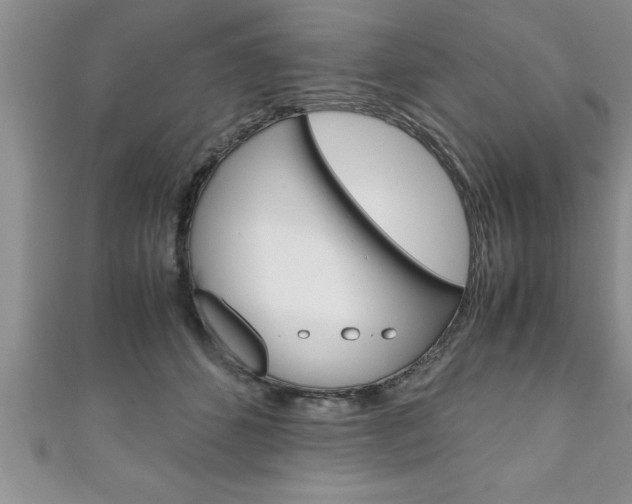 X0000111190512200907011011