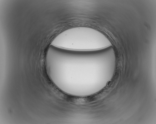 X0000111190513200907011011