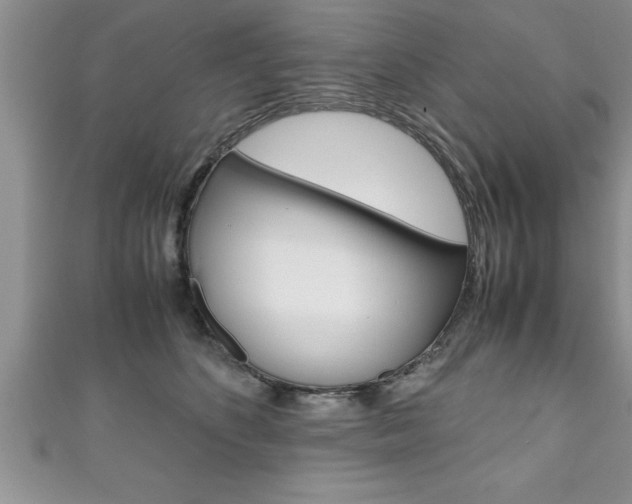 X0000111190516200907011011