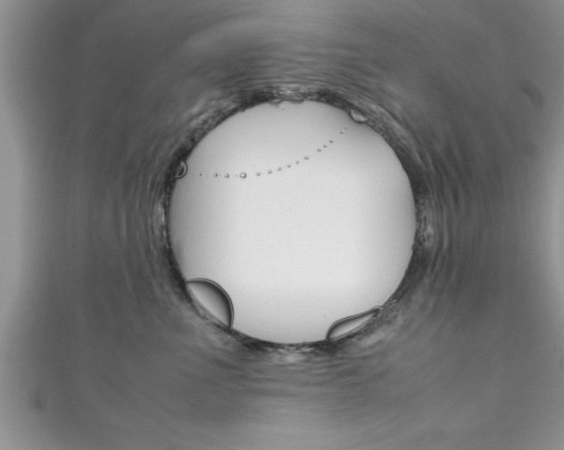 X0000111190523200907011011